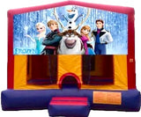 Themed Bounce House Birthday Package