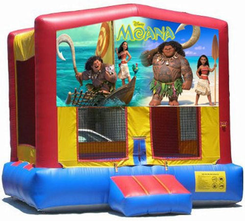 Themed Bounce House Birthday Package